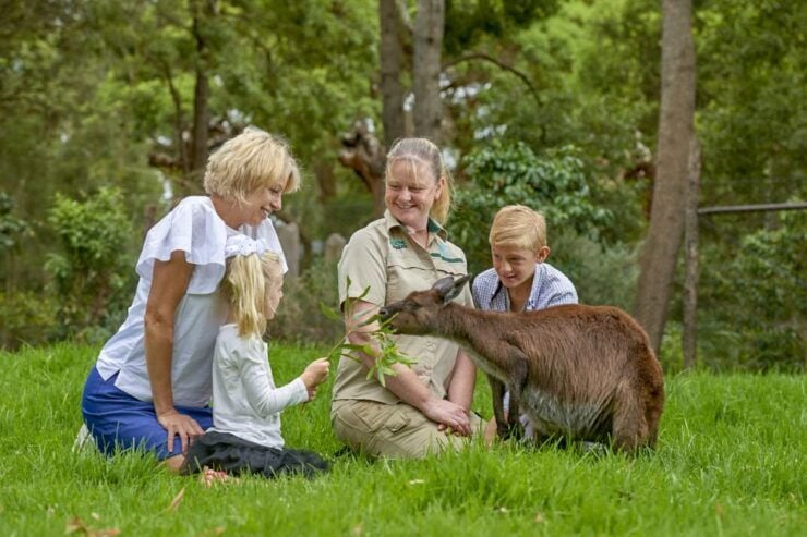 Healesville Sanctuary: General Admission Ticket - Ticket Details and Accessibility
