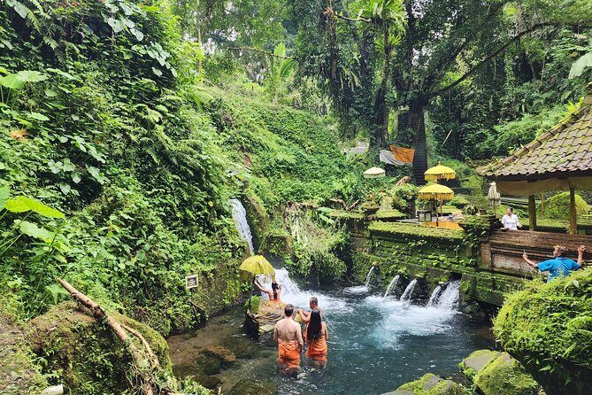 Healing and Adventure Trip in Ubud All Inclusive Journey - Good To Know