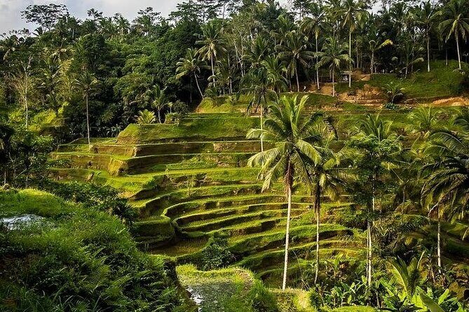 Healing and Adventure Trip in Ubud All Inclusive Journey - Final Thoughts: Is It Worth It?