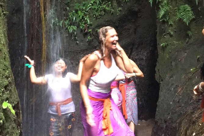 Healing and Purifications Tour in Bali - Tour Inclusions