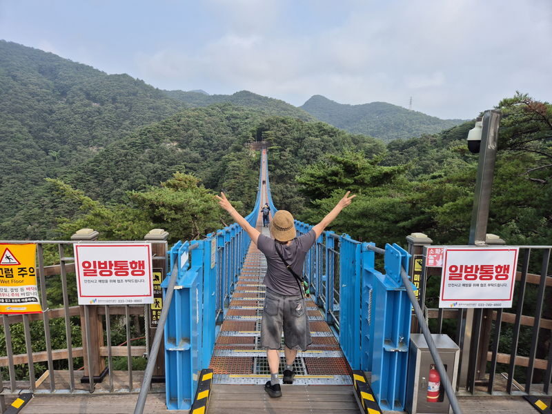 Healing and Thrill Tour | Alpaca World and Sogeumsan Grand Valley - A day that trades Seoul streets for mountain air