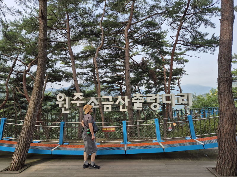 Healing and Thrill Tour | Alpaca World and Sogeumsan Grand Valley - Sogeumsan: a cable car, forest path, and two bridges