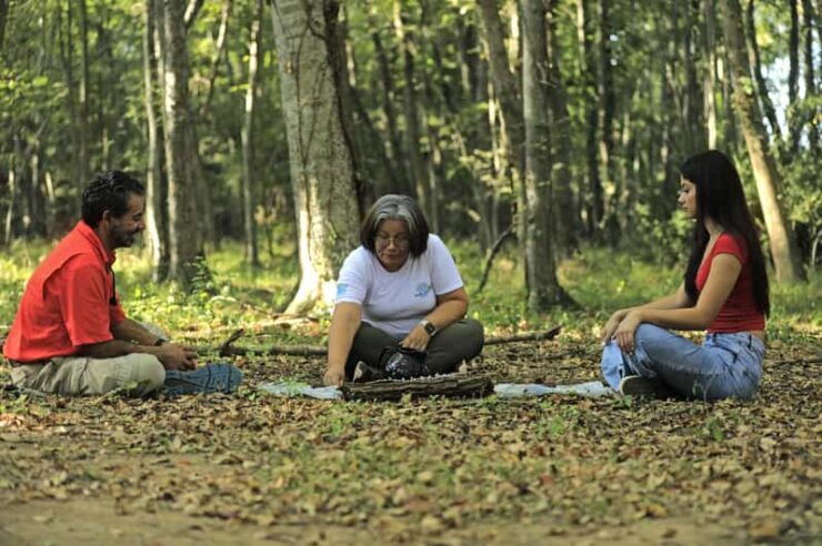 Healing With the Forest - Good To Know