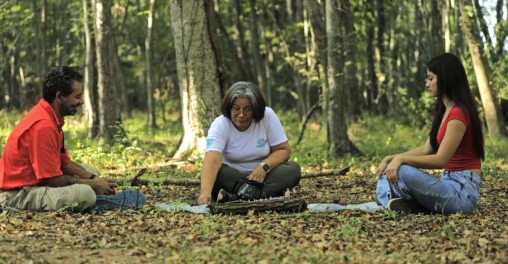 Healing With the Forest - Booking Information