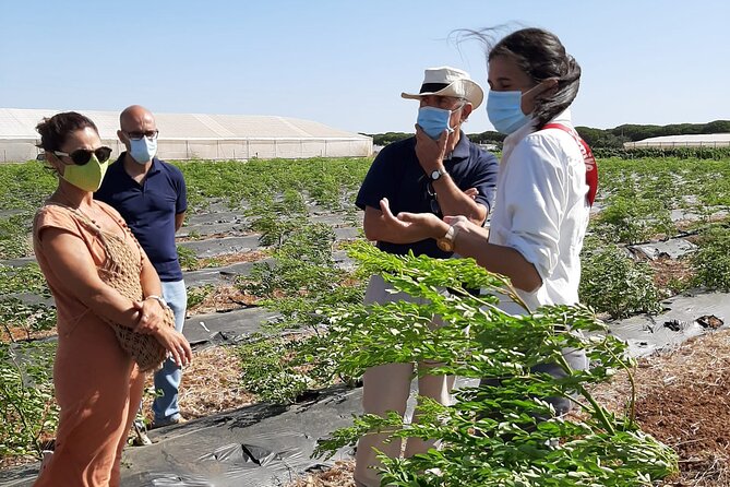 Healthy Eco-Finca and Pine Forest Experience - The Sum Up