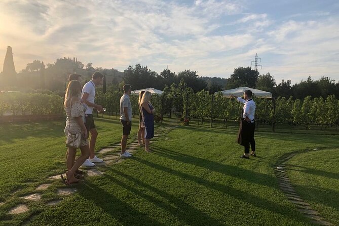 Heart of Chianti Classico - 2 Wineries Lunch Included - Chianti Wine Tour - Traveler Reviews