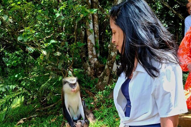 Heart of Grenada Heritage Adventure - An In-Depth Look at the Heart of Grenada Heritage Adventure