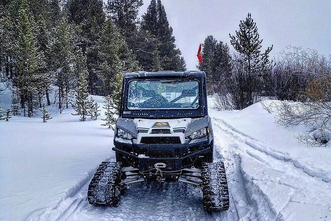 Heated and Enclosed Snow ATV Tour in Alaska Open All Year Round - Inclusions
