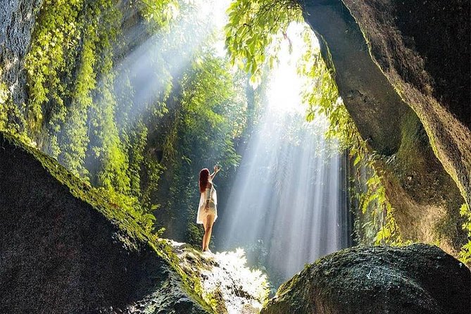 Heaven Gate, Waterfal, Rice Terrace & Ubud Swing With Photographer - Pricing Details