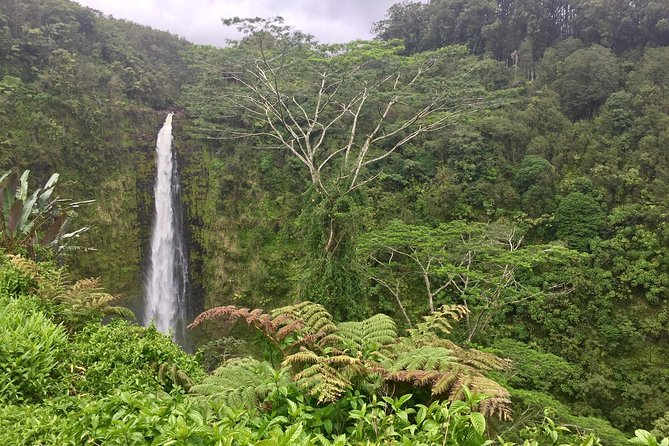 Heavenly Hamakua: From Kona - Exploring Waimea and Its Highlands