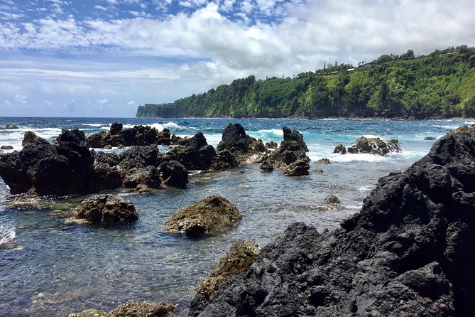 Heavenly Hamakua: From Kona - Guided Tour With a Knowledgeable Driver