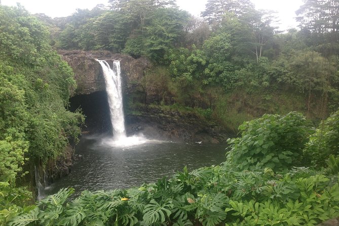 Heavenly Hamakua: From Kona - Convenient Pickup Options