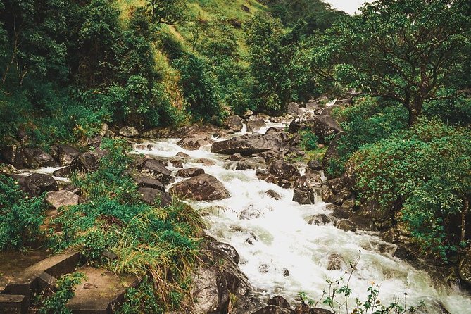 Heeloya Village Trek From Kandy - Departure and Transportation Details