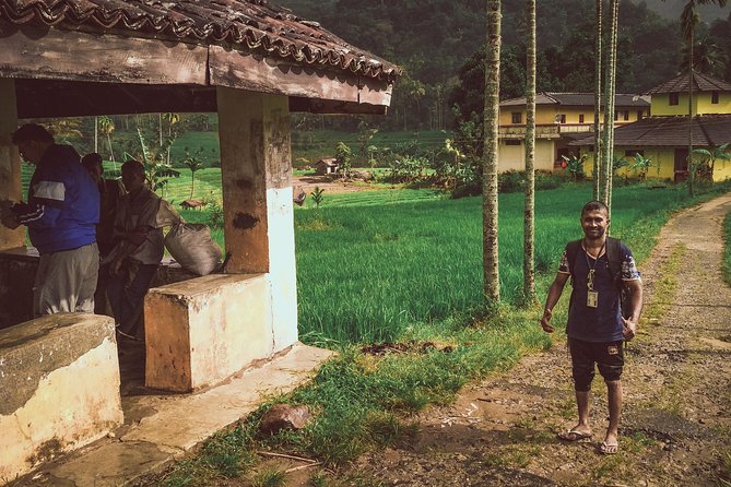 Heeloya Village Trek From Kandy - Village Exploration and Activities