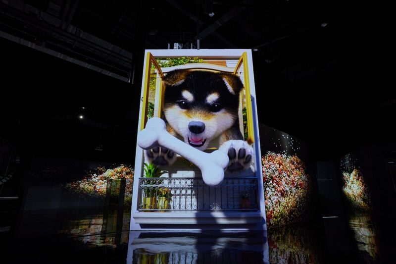 HEI Museum Admission Ticket: Immersive Media Art Exhibition - Is HEI Museum right for your Paju day?