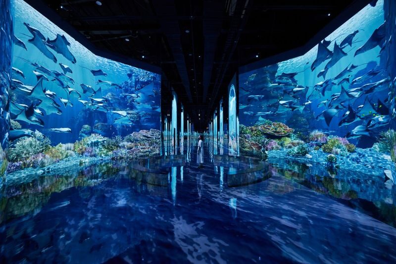 HEI Museum Admission Ticket: Immersive Media Art Exhibition - Booking and ticket practicalities