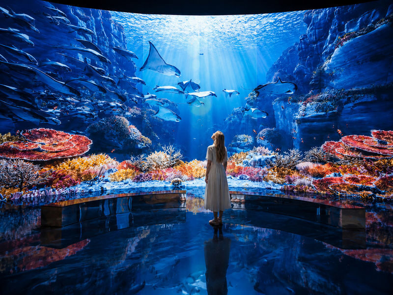 Hei Museum & Paju Outlets Half-Day Shopping & Photo Tour - What to know before you go