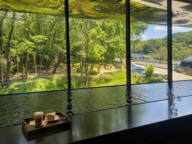 Hei Museum & Paju Outlets Half-Day Shopping & Photo Tour - Who should choose this Paju tour?