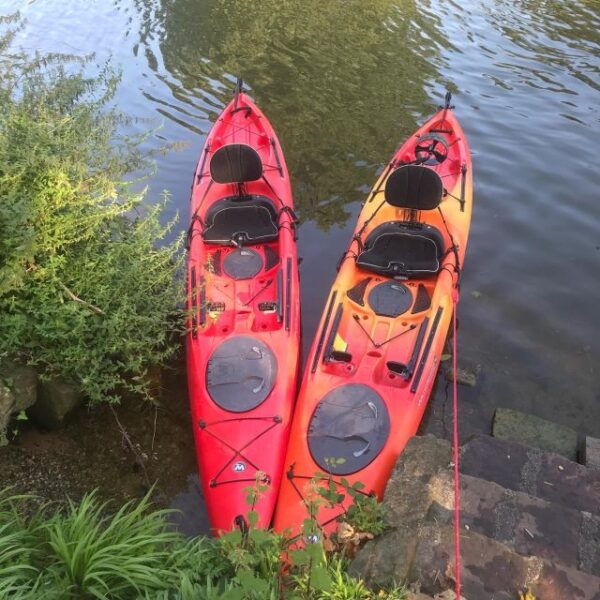 Heidelberg: 2-Hour Kayak Tour - Pricing and Tour Options