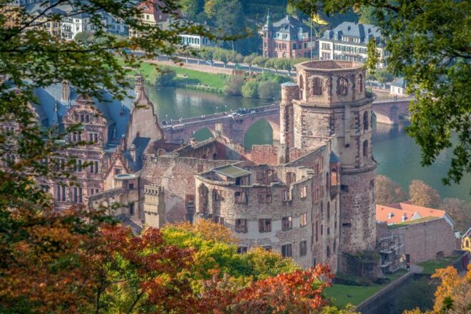 Heidelberg 6-Hour Tour From Frankfurt - Selecting Participants and Date