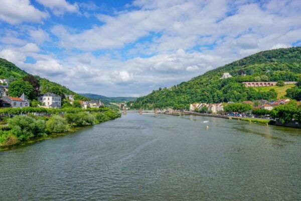 Heidelberg 6-Hour Tour From Frankfurt - What Travelers Are Saying