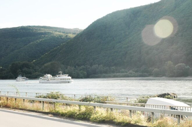 Heidelberg and Rhine Combination Tour From Frankfurt - Customer Experience and Ratings