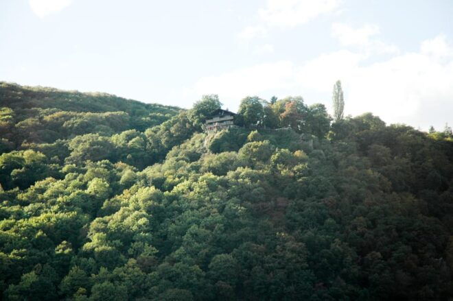 Heidelberg and Rhine Combination Tour From Frankfurt - Recommendations for Travelers