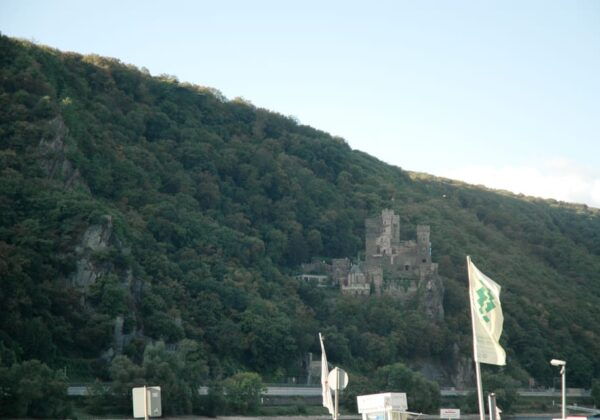 Heidelberg and Rhine Combination Tour From Frankfurt - Accessibility Information
