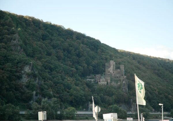Heidelberg and Rhine Combination Tour From Frankfurt - Local Cuisine and Wine Tasting