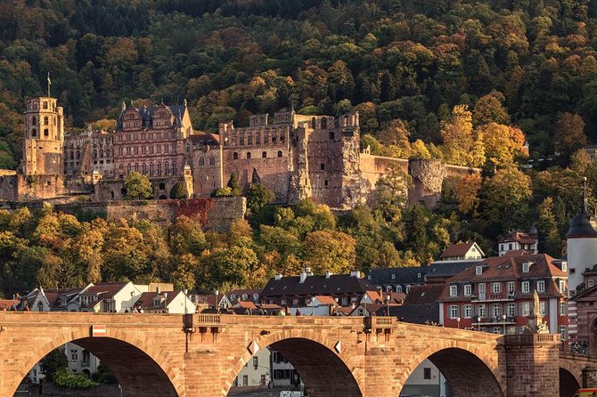 Heidelberg and Schwetzingen Castles Day Trip From Frankfurt - Inclusions and Services Provided