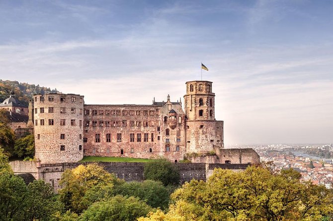 Heidelberg and Schwetzingen Castles Day Trip From Frankfurt - Meeting Point and Pickup Information