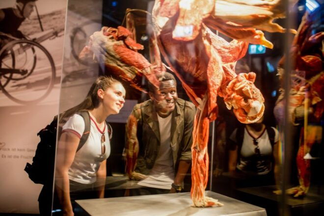 Heidelberg: BODY WORLDS Museum Entrance Ticket - Benefits of Reserving Now and Paying Later