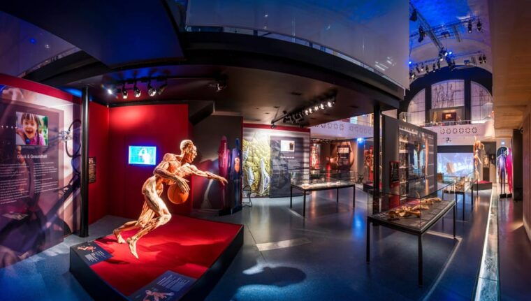 Heidelberg: BODY WORLDS Museum Entry Ticket - The Sum Up
