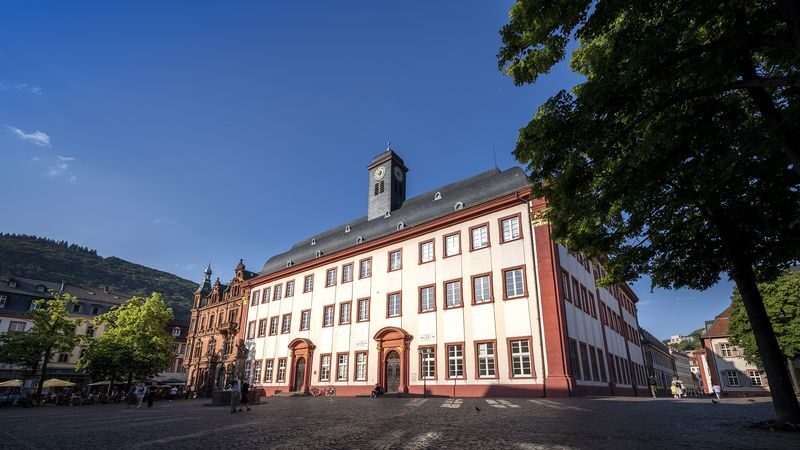 Heidelberg Card with Heidelberg Castle Ticket - Choosing between one, two, and four days