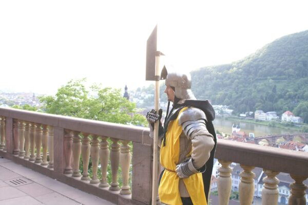 Heidelberg Castle: Knights and Mercenaries - Special Group Options