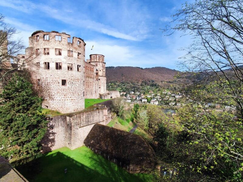 Heidelberg Castle - The Highlights in 1 h EXPRESS TOUR - Pricing, Timing, and Practicalities