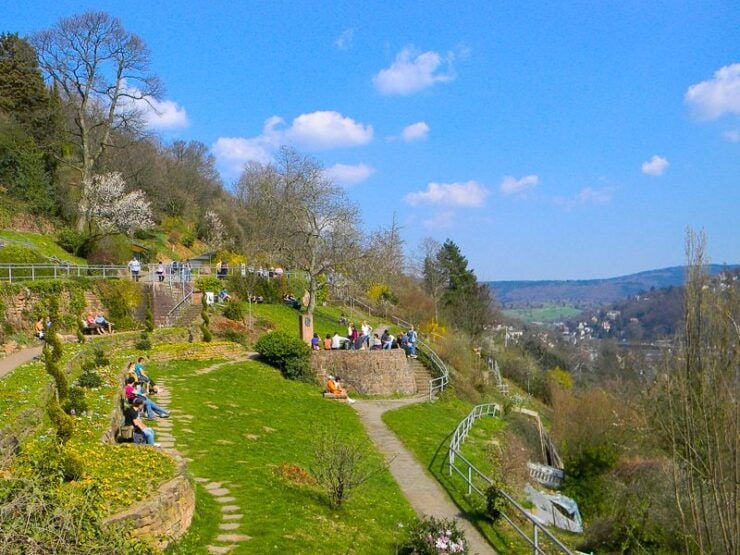 Heidelberg Castle Tour: Residence of the Electors - Tour Highlights
