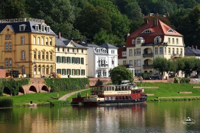 Heidelberg Castle Tour: Residence of the Electors - Accessible Options