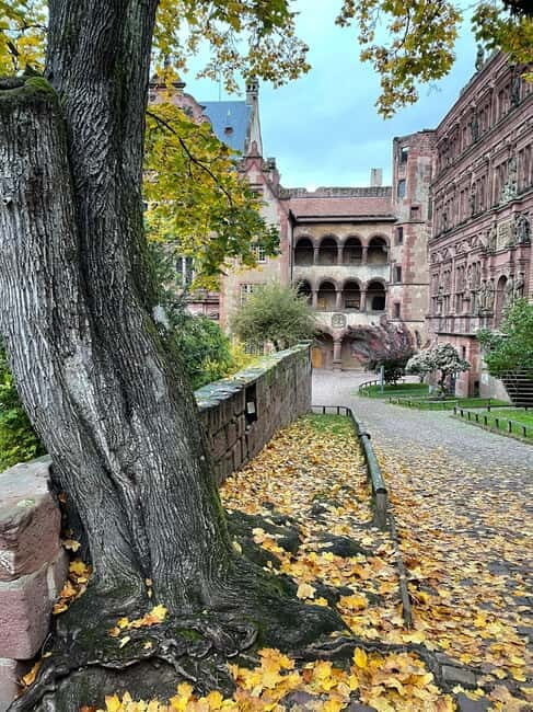 Heidelberg: Discover Heidelberg Castle - experience history up close - A Closer Look at the Heidelberg Castle Tour