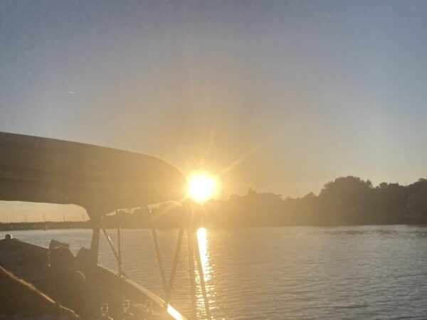 Heidelberg: Exclusive Private Boat Trip for Couples - Customer Experiences