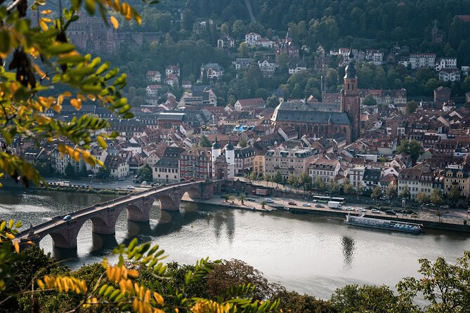 Heidelberg Like a Local: Customized Private Tour - Overview of Heidelberg