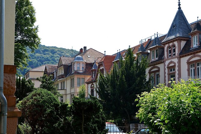 Heidelberg Private Walking Tour With A Professional Guide - Pricing and Booking Information