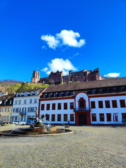 Heidelberg: Private Walking Tour with Local Guide - FAQ