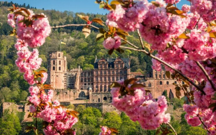 Heidelberg: Sightseeing Bus and Castle Tour - Inclusions