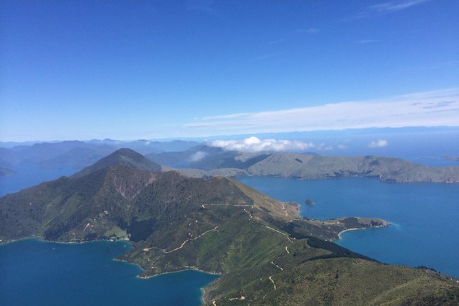 Heli-Fish Marlborough Sounds DUrville Island Indulgence - Catch and Dine - Catch and Dine Experience