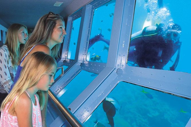 Helicopter and Cruise Packages From Port Douglas - Booking and Availability