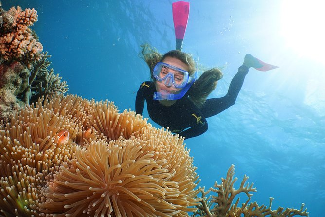 Helicopter and Cruise Packages From Port Douglas - Traveler Photos and Inspiration