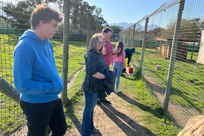 Helicopter, Boat Cruise, Big 5 Safari and Winelands Scenic Experience in 4 Days. - Overview of the 4-Day Experience