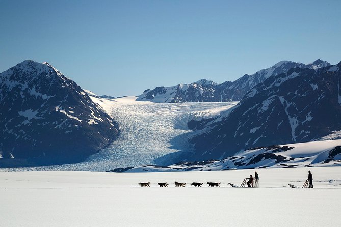 Helicopter Glacier Dogsled Tour Lower Glacier Landing - ANCHORAGE AREA - Location and Duration