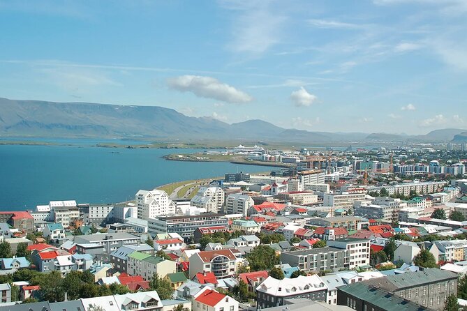 Helicopter Tour From Reykjavik: Hengill Area With at Site Landing - Tour Highlights